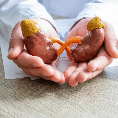 ¿Qué especialista trata la proteinuria en CDMX?